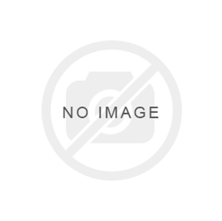 Picture of Independent Center Section Axle Seal - 40-Spline